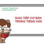 Cẩm Nang Các Mẫu Câu Giao Tiếp Tiếng Hàn Thông Dụng