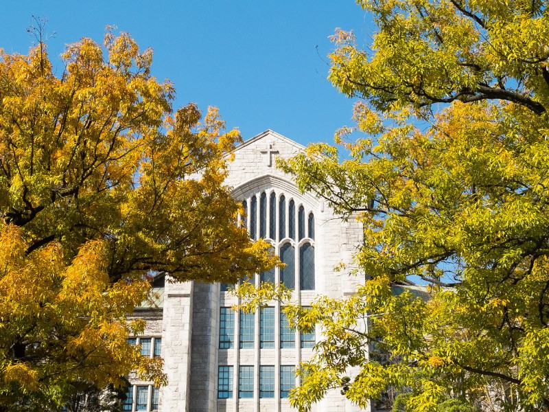 Chuyên ngành đào tạo hệ đại học