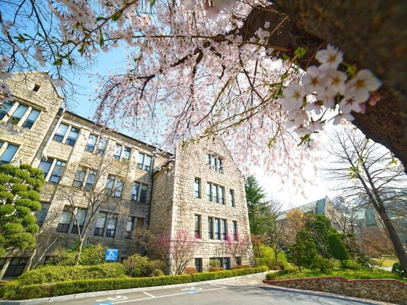 đại học hoa lê