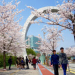 Văn Hóa Hàn Quốc: Nền Văn Hóa Mạng và Quản Lý Chi Tiêu Hiện Đại