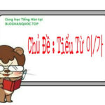 Tìm Hiểu Tiểu Từ 이/가 Trong Tiếng Hàn