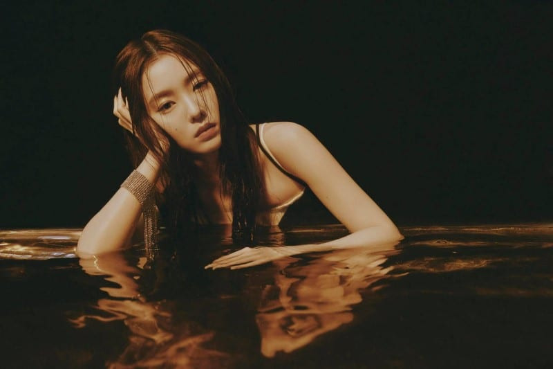 Irene - mẫu ảnh chụp look book đầy nghệ thuật