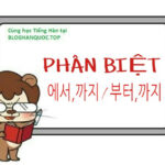 Phân Biệt 에서, 까지 và 부터, 까지 Trong Tiếng Hàn: Hướng Dẫn Chi Tiết Cho Người Mới Bắt Đầu