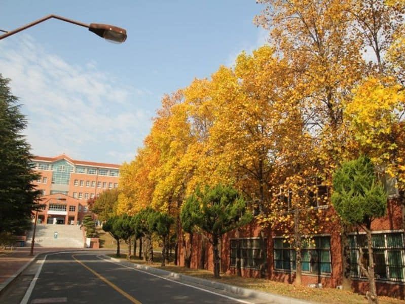 review trường đại học keimyung