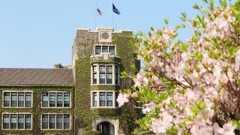 trường đại học yonsei hàn quốc